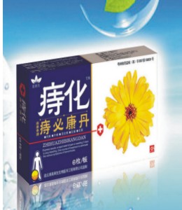 美再生－痔瘡栓－痔康泰牌痔必泰丹－內痔、 痔化