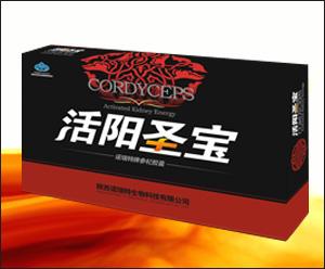 活陽圣寶 活陽圣寶