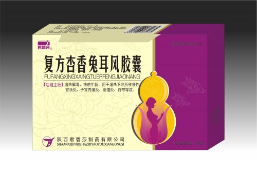 復方杏香兔耳風膠囊 
