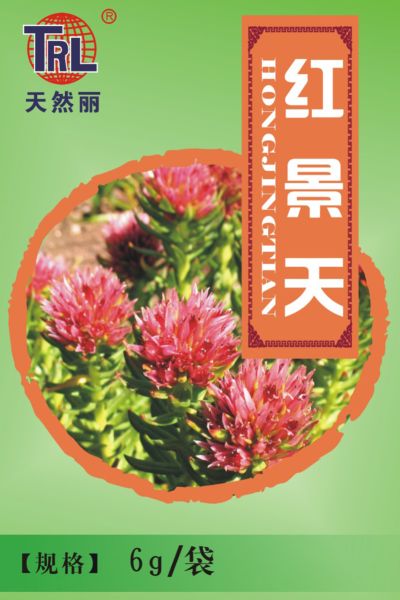 紅景天（西藏原產） 