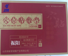 醫用冷敷貼（振陽） 