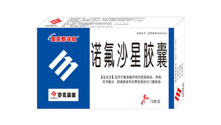 諾氟沙星膠囊藥典收錄基本藥物國家醫保 