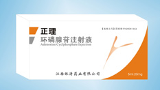 心腦血管系統用藥【正理--環磷腺苷注射液】 