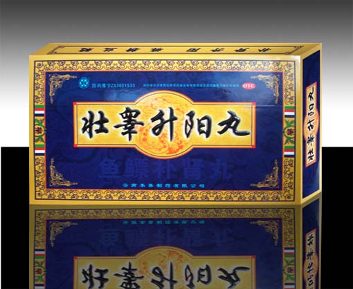 壯睪升陽丸，大修男人發動機 